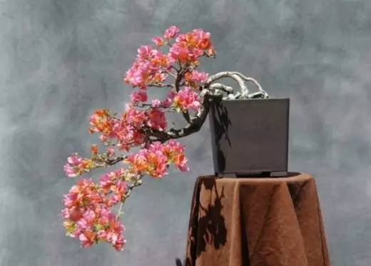 花香滿溢，唯美花藝設(shè)計(jì)！