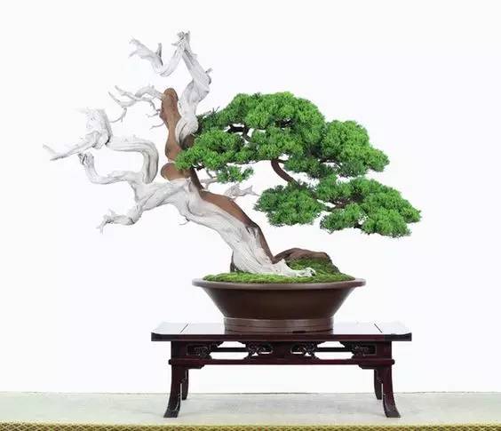 花香滿溢，唯美花藝設(shè)計(jì)！