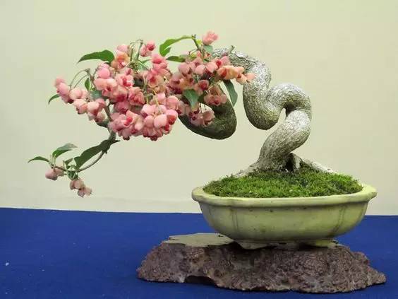 花香滿溢，唯美花藝設(shè)計！