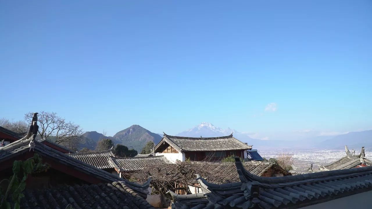 麗江·靈凈山舍，一花一木一世界！