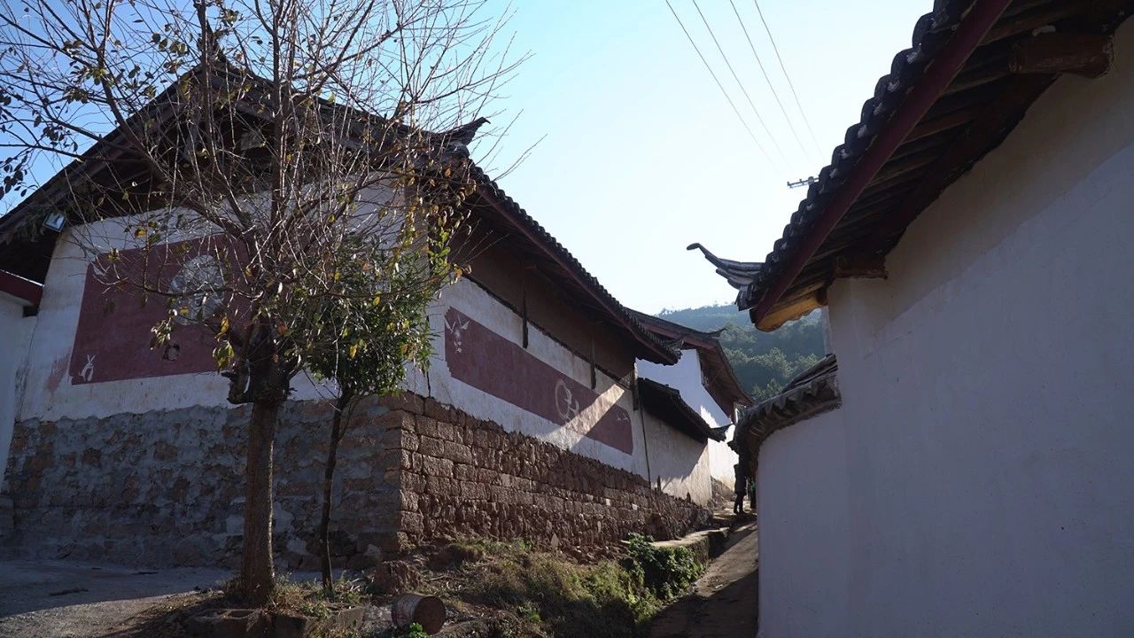 麗江·靈凈山舍，一花一木一世界！