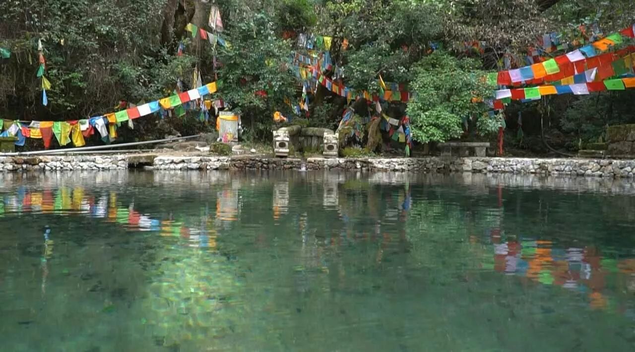 麗江·靈凈山舍，一花一木一世界！