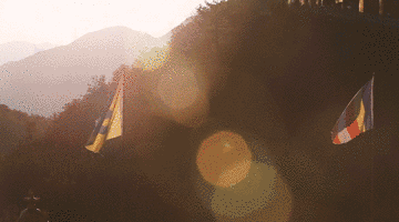 麗江·靈凈山舍，一花一木一世界！