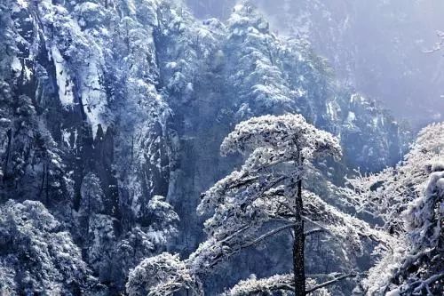 雪后黃山風(fēng)景宛如人間仙境，舞一曲雪中霓裳羽