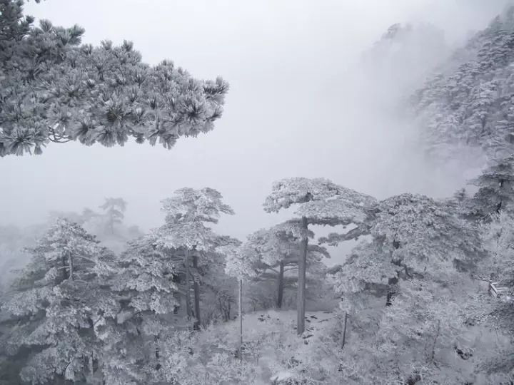 雪后黃山風(fēng)景宛如人間仙境，舞一曲雪中霓裳羽