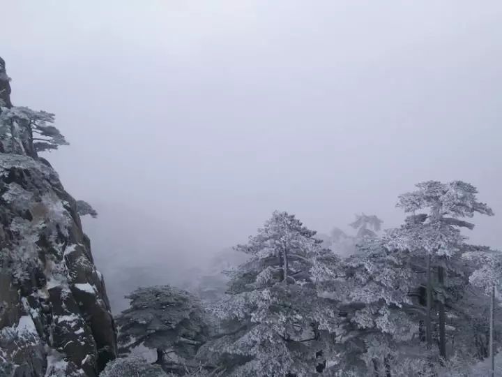 雪后黃山風(fēng)景宛如人間仙境，舞一曲雪中霓裳羽