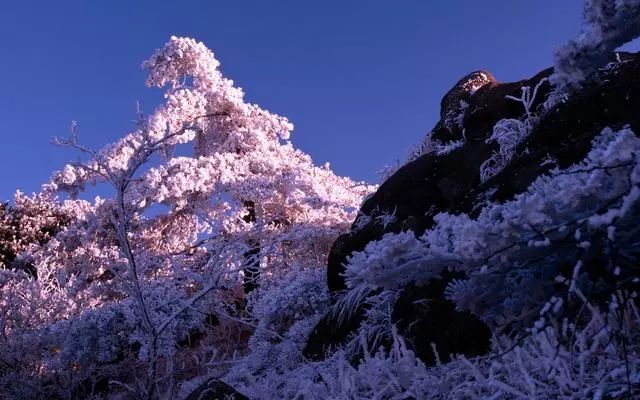 雪后黃山風景宛如人間仙境，舞一曲雪中霓裳羽