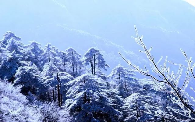 雪后黃山風景宛如人間仙境，舞一曲雪中霓裳羽