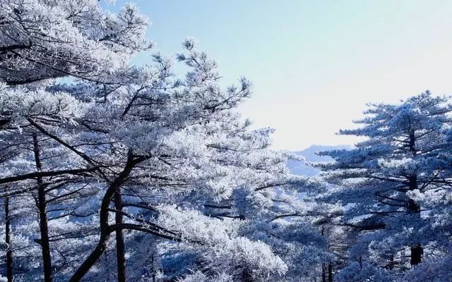 雪后黃山風景宛如人間仙境，舞一曲雪中霓裳羽