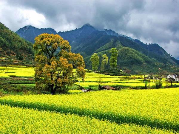 8處風(fēng)景如詩(shī)如畫(huà)，春天最值得去的地方！