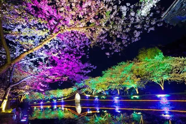 8處風(fēng)景如詩(shī)如畫，春天最值得去的地方！