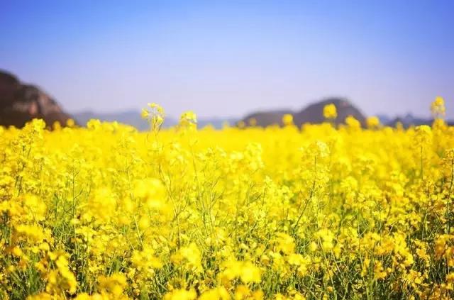 8處風(fēng)景如詩如畫，春天最值得去的地方！