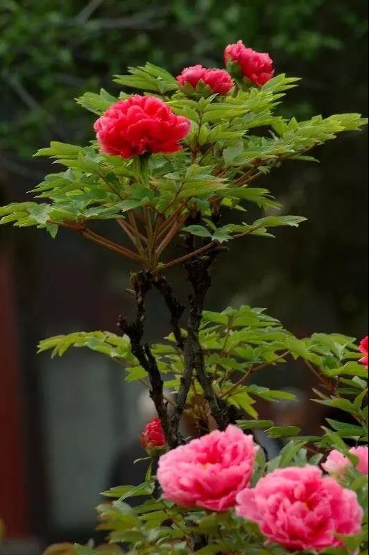 8處風(fēng)景如詩如畫，春天最值得去的地方！