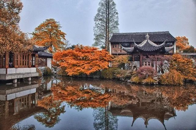 美呆了！祖國的秋色盡收眼底