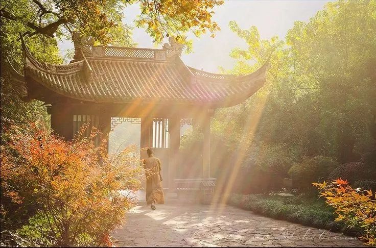 美呆了！祖國的秋色盡收眼底