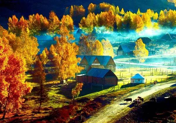 美呆了！祖國的秋色盡收眼底