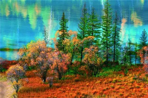 美呆了！祖國的秋色盡收眼底