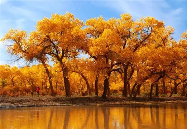 美呆了！祖國的秋色盡收眼底