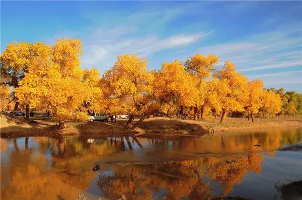 美呆了！祖國的秋色盡收眼底