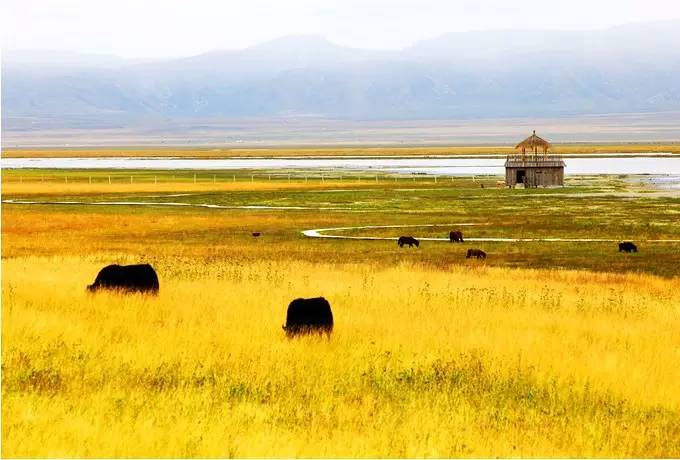 美呆了！祖國的秋色盡收眼底