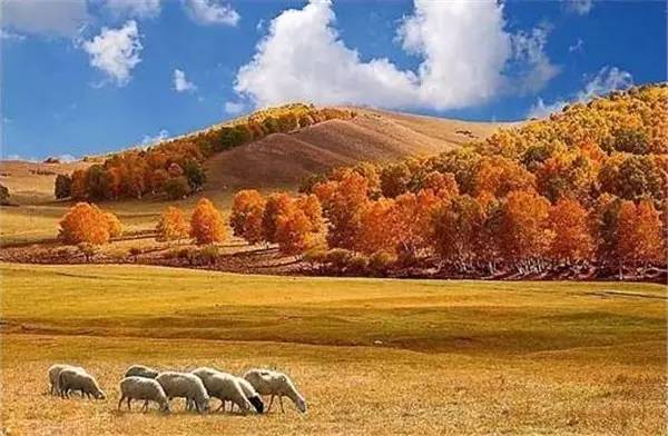 美呆了！祖國(guó)的秋色盡收眼底