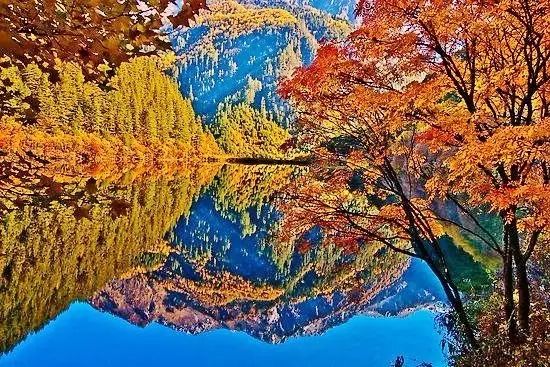 美呆了！祖國的秋色盡收眼底
