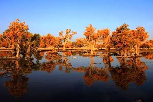 美呆了！祖國(guó)的秋色盡收眼底