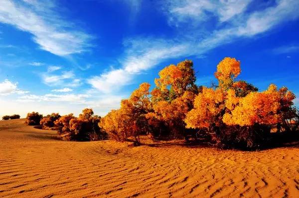 美呆了！祖國(guó)的秋色盡收眼底