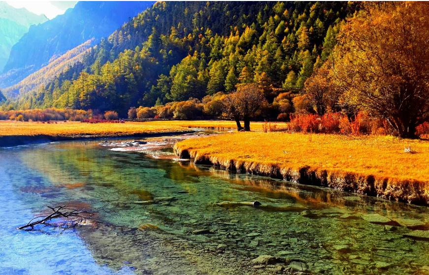 美呆了！祖國(guó)的秋色盡收眼底