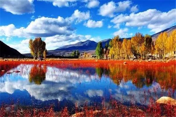 美呆了！祖國(guó)的秋色盡收眼底