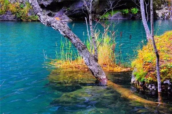 美呆了！祖國的秋色盡收眼底