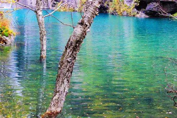 美呆了！祖國的秋色盡收眼底