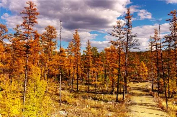 美呆了！祖國(guó)的秋色盡收眼底