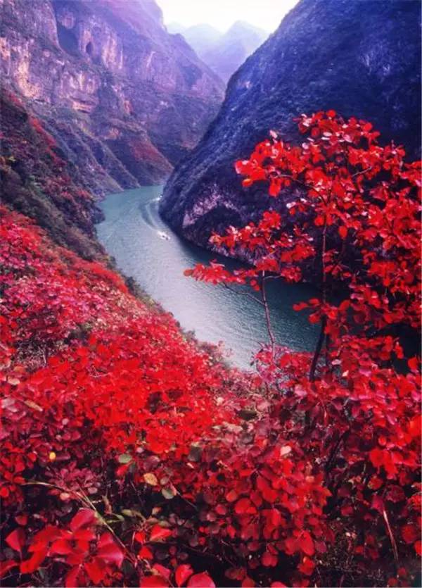 美呆了！祖國的秋色盡收眼底