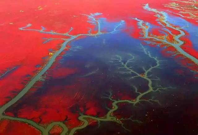 美呆了！祖國的秋色盡收眼底