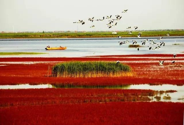 美呆了！祖國的秋色盡收眼底