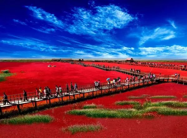 美呆了！祖國的秋色盡收眼底