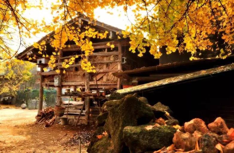 美呆了！祖國的秋色盡收眼底