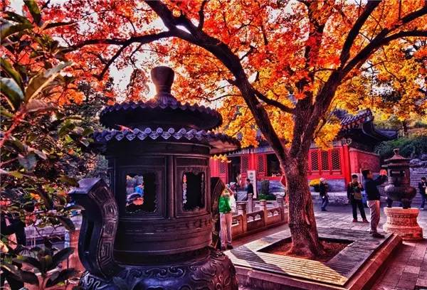 美呆了！祖國的秋色盡收眼底