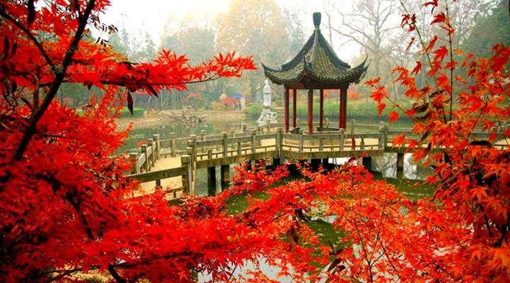 美呆了！祖國(guó)的秋色盡收眼底