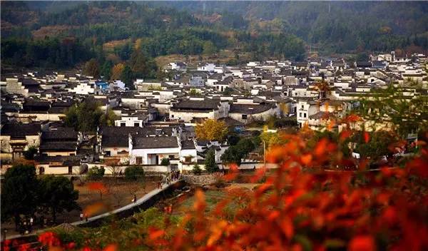 美呆了！祖國的秋色盡收眼底