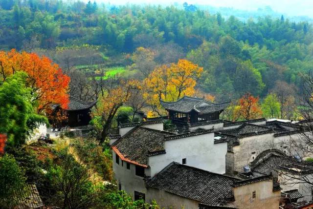 美呆了！祖國的秋色盡收眼底