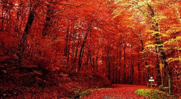 十處優(yōu)美的山水風(fēng)景，錦繡山河如詩如畫！