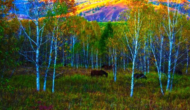 十處優(yōu)美的山水風(fēng)景，錦繡山河如詩如畫！