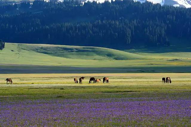 十處優(yōu)美的山水風景，錦繡山河如詩如畫！