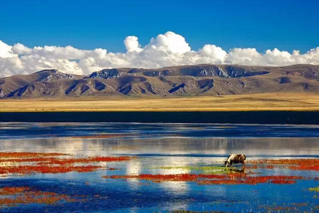 十處優(yōu)美的山水風(fēng)景，錦繡山河如詩(shī)如畫！