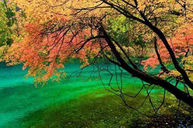 十處優(yōu)美的山水風景，錦繡山河如詩如畫！