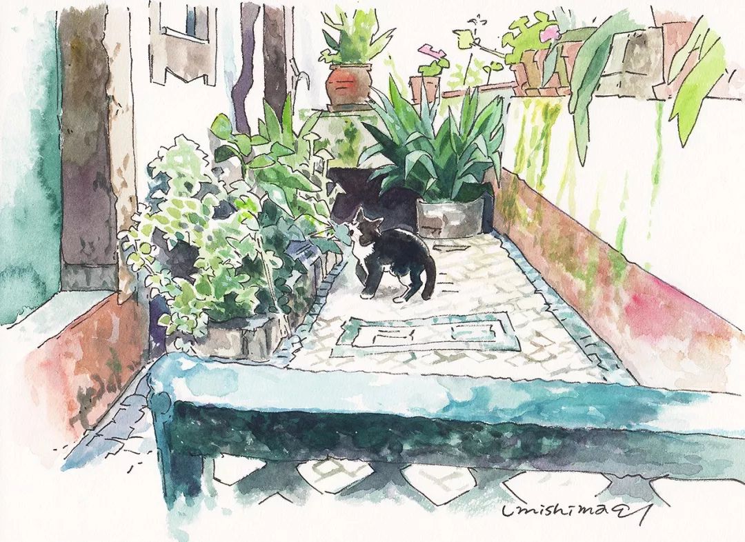 超唯美優(yōu)雅插畫，清新亮麗的手繪插畫