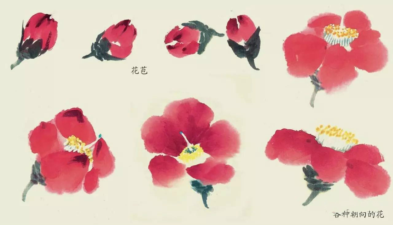 國畫技法：超詳細(xì)的國畫各種花卉畫法大全!