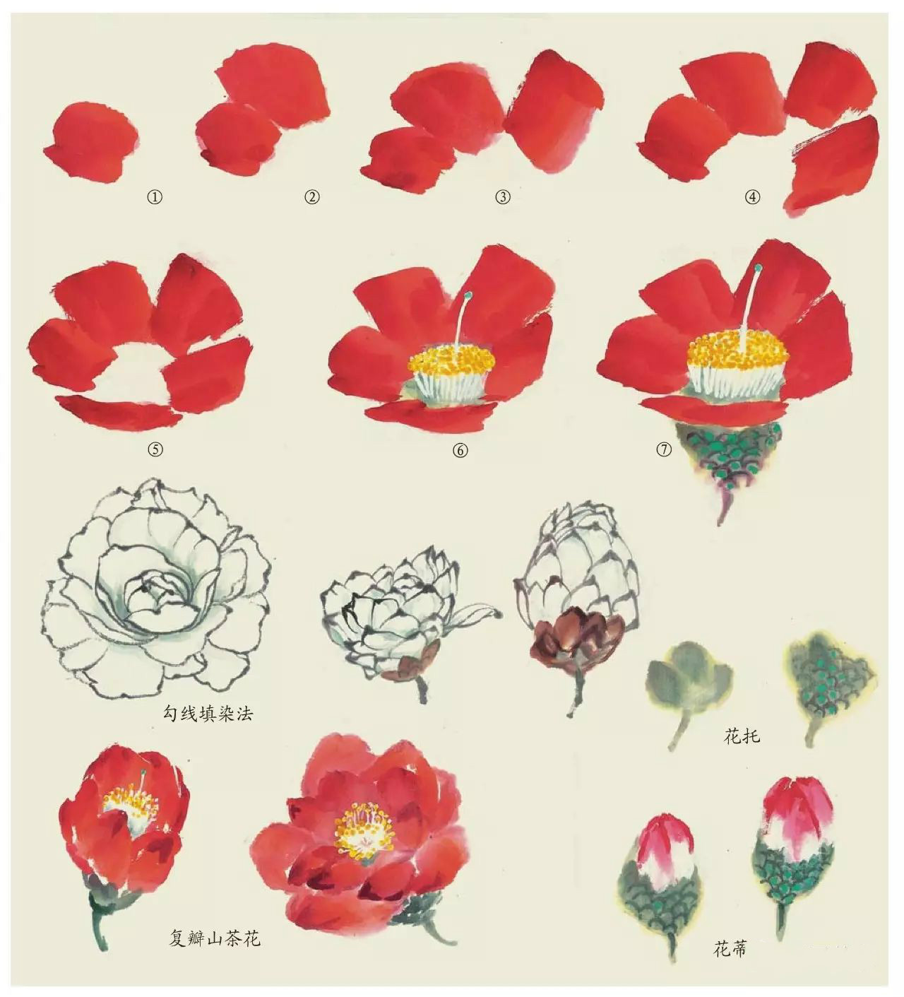 國畫技法：超詳細(xì)的國畫各種花卉畫法大全!